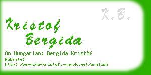 kristof bergida business card