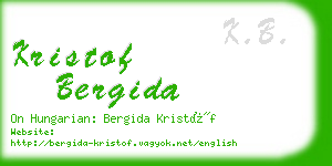 kristof bergida business card